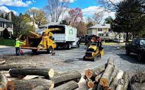 Ingram, PA  Tree Services Company